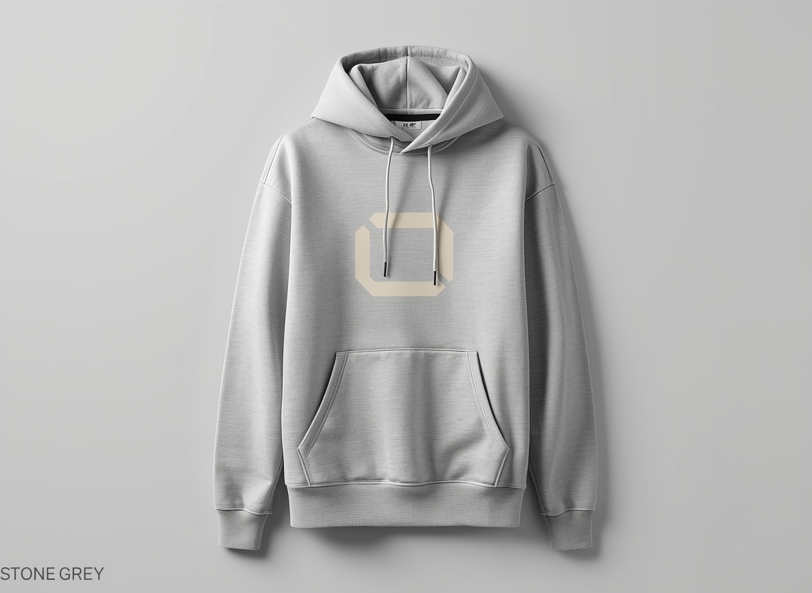 Stone Grey signature oversize hoodie bestselling product
